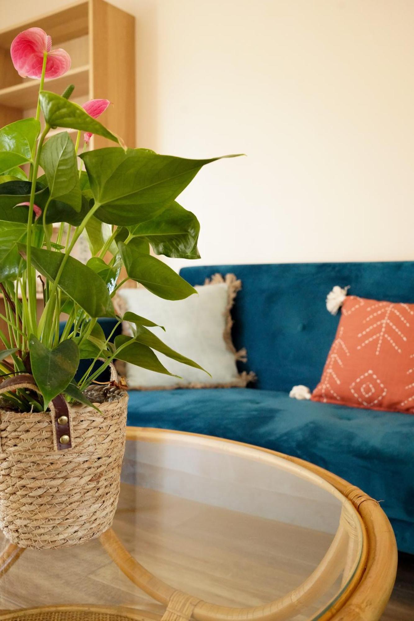 Le Cocon Bleu Apartment Parentis-en-Born Bagian luar foto