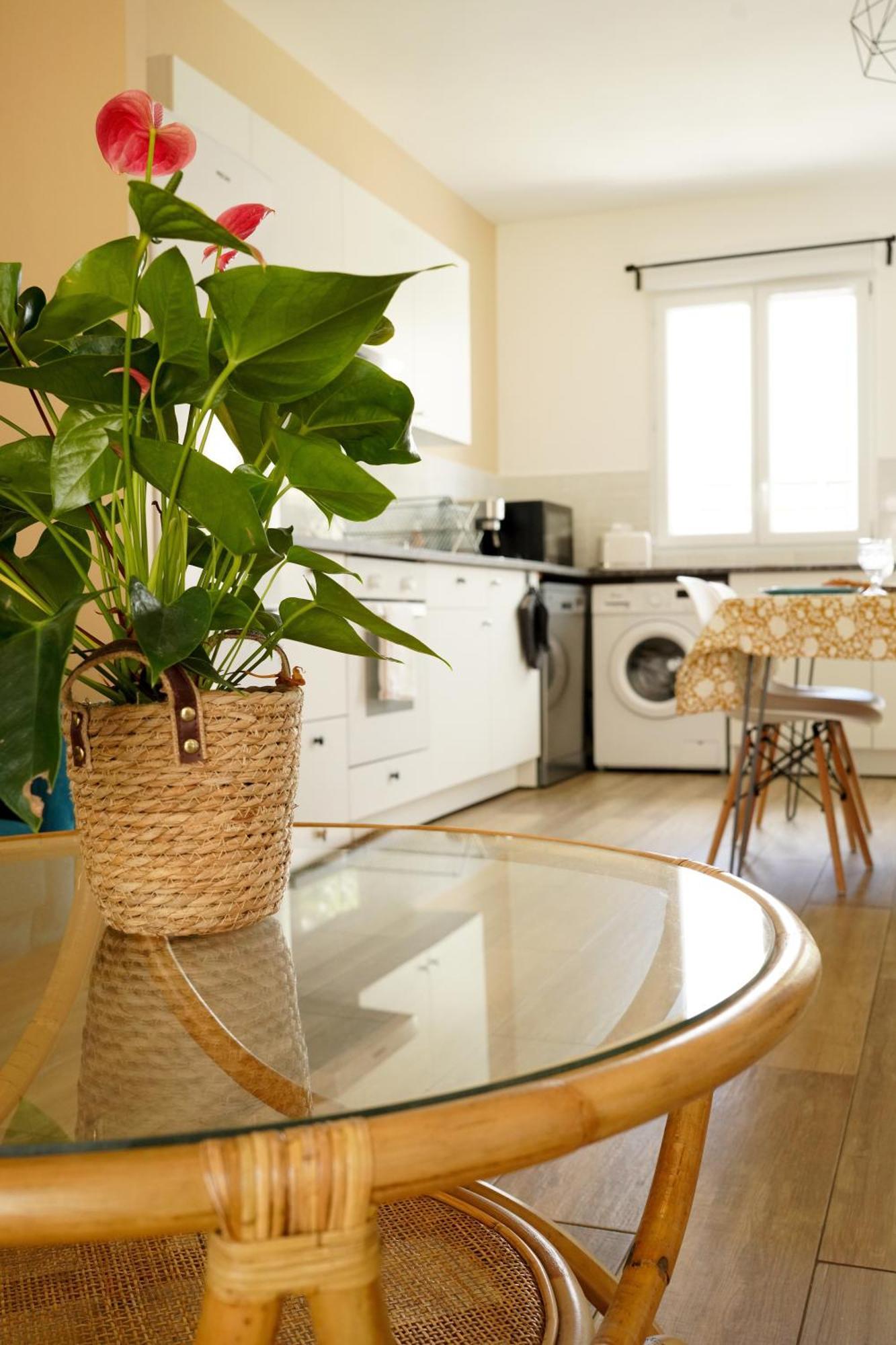 Le Cocon Bleu Apartment Parentis-en-Born Bagian luar foto